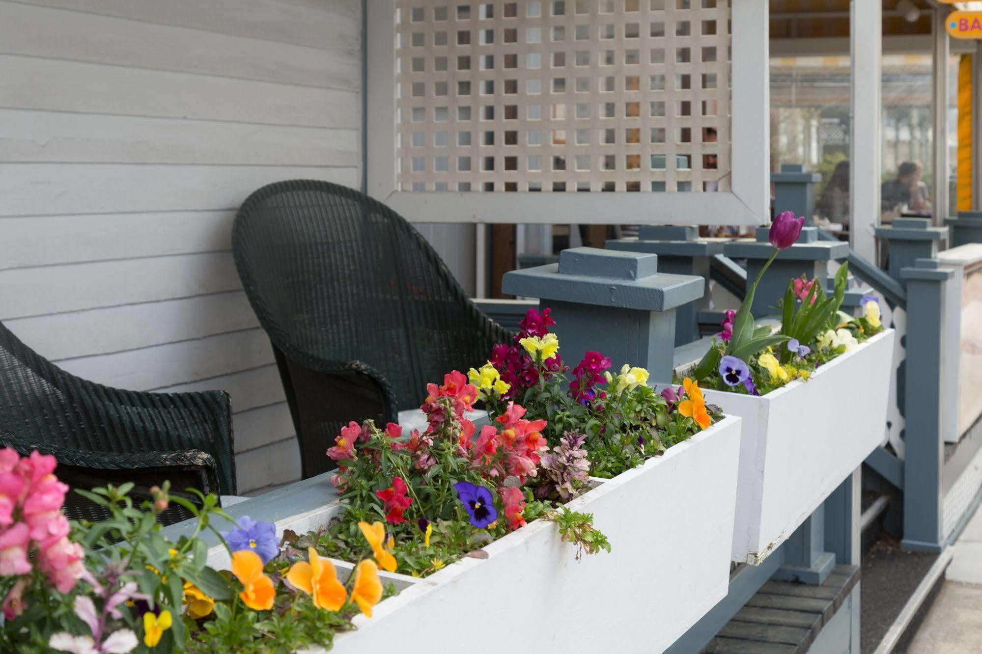 The Carroll Villa Hotel Кейп-Мэй Экстерьер фото